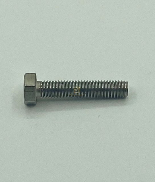 Pure Titanium Hex Bolt