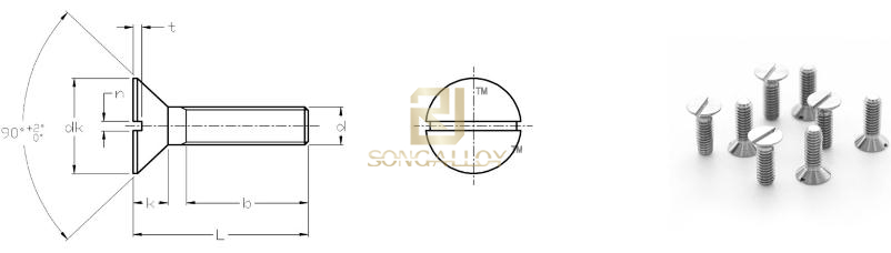 DIN963 Titanium SCREW