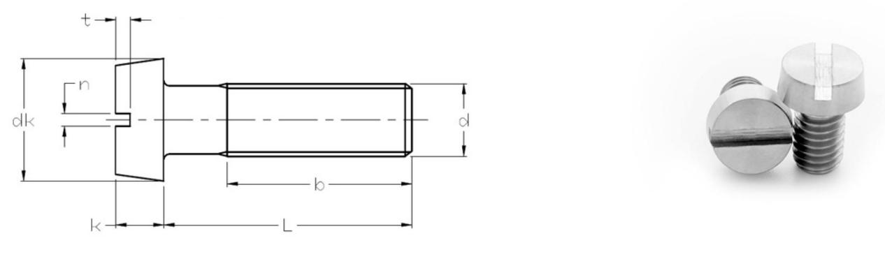 DIN 84 Titanium Slotted Head Cap Screws