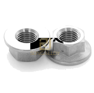 ANSI/ASME B18.16.4 Titanium Hexagon Flange Nuts