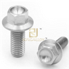 ISO4162 Titanium Hexagon Flange Bolts-Small Series