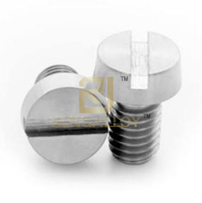 DIN 84 Titanium Slotted Head Cap Screws