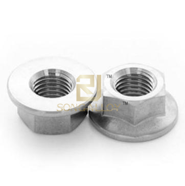 Titanium GB/T6177.1 Hexagon Flange Nuts-style2