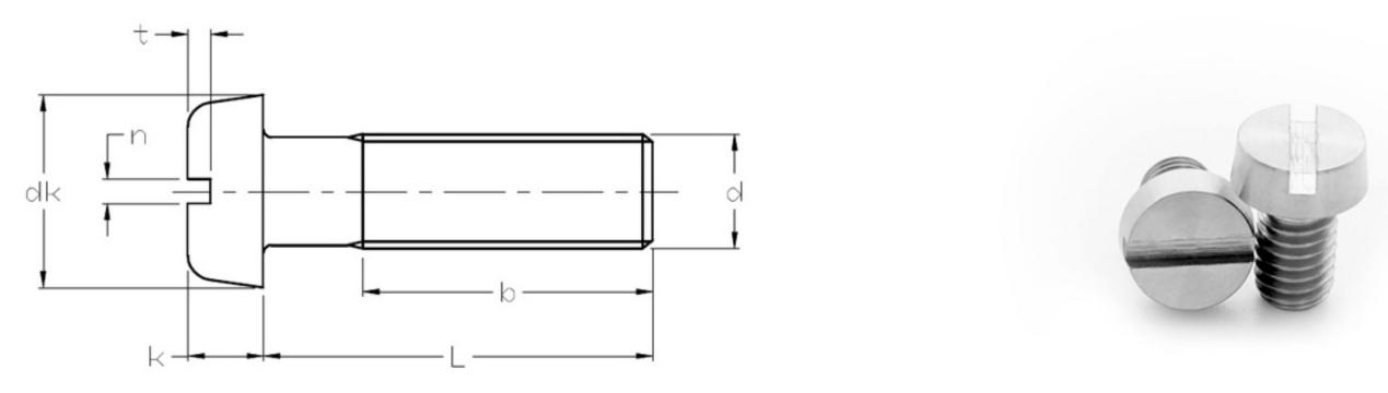 DIN85 Slotted Pan Head Screws