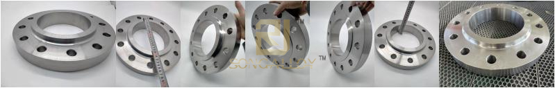 Titanium Slip on flange