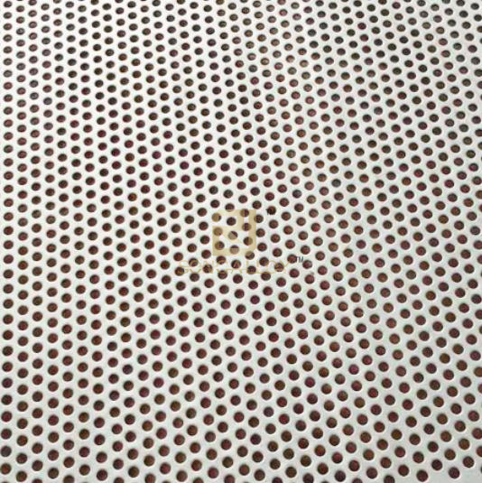 Perforated Titanium Sheet