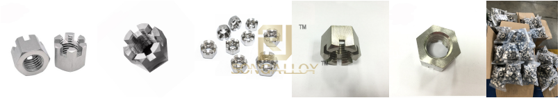 Metric DIN 935 Hexagon NUts