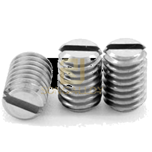 DIN551 Titanium Slotted Set Screws with Flat Point
