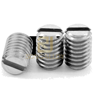 GB/T73Stainless Steel Slotted Set Screws with Flat Point