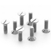 DIN963 Stainless Steel Slotted Countersunk Head Screws