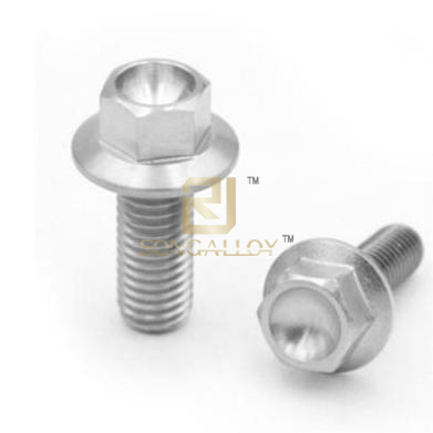 Titanium ANSI/ASME B18.2.1 Hexagon Flange Screws
