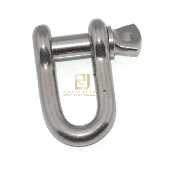 Stainless Steel 316 D Shackle