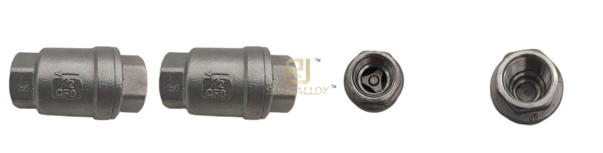 Stainless Steel Vertical Check Valves