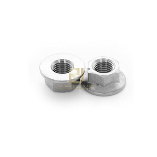 Titanium Nuts
