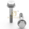 DIN6921 Titanium Hexagon Flange Bolts