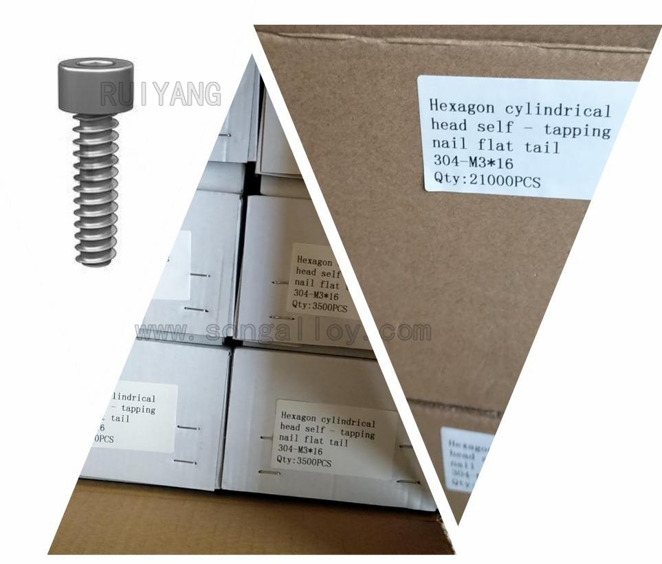 Fasteners stainless steel A2 self tapping screw carrying