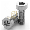 DIN6912 Stainless Steel Hexagon Socket Thin Head Cap Screws with Pilot Recess