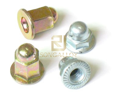 DIN1587 Titanium Hexagon Acorn Nuts