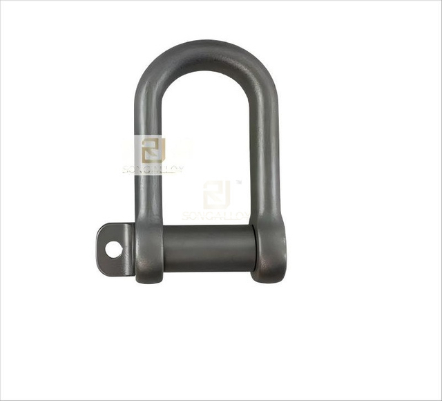 Titanium Shackle