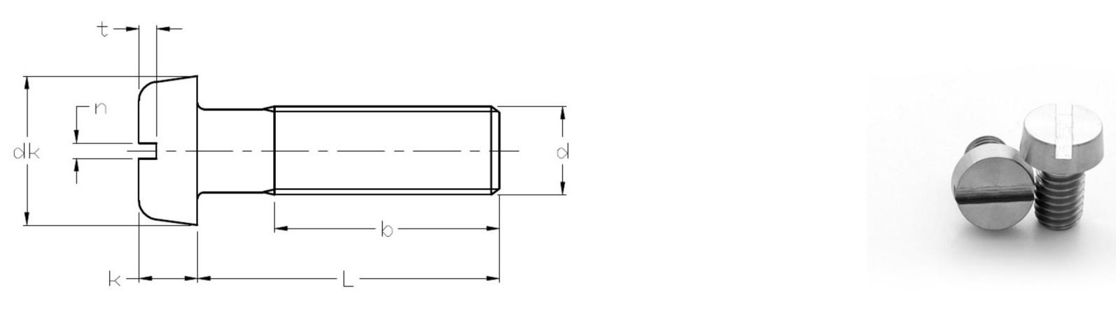 Titanium Slotted pan head screws