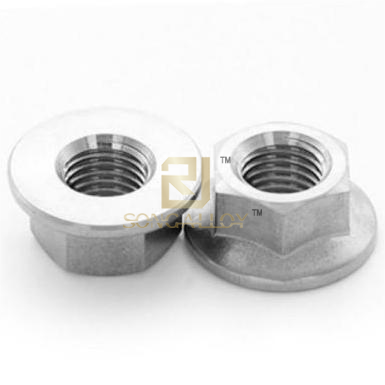 ISO 4161 Titanium Hexagon Flange Nuts