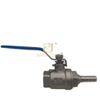 2 Piece Stainless Steel Ball Valve