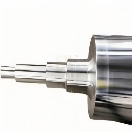 Vertical Annealing Furnace Roller