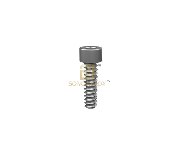 304 Self Tapping Screw 