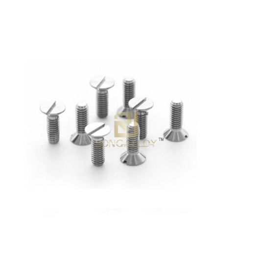 DIN 963 Titanium Screws