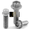 Titanium 12 Point Flange Bolts