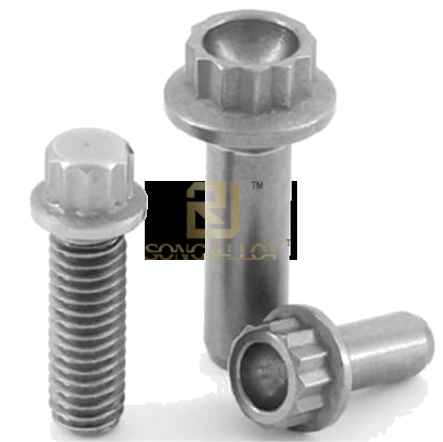 Titanium 12 Point Flange Bolts