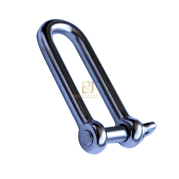 Stainless-Steel-Large-Dee-Shackles-for-Riggings