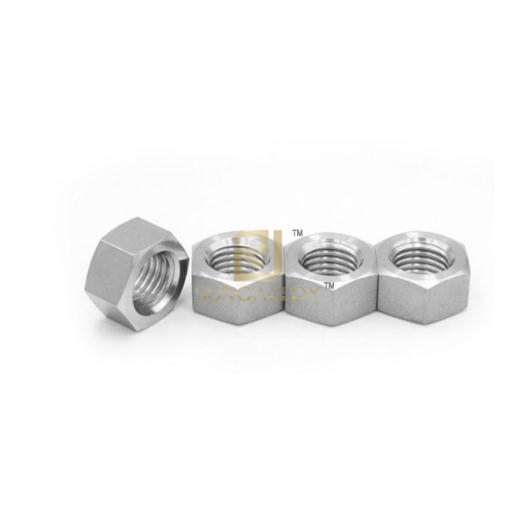 Titanium Hex Nut