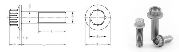 ANSI ASME B18.2.5 metric 12-point flanges screws